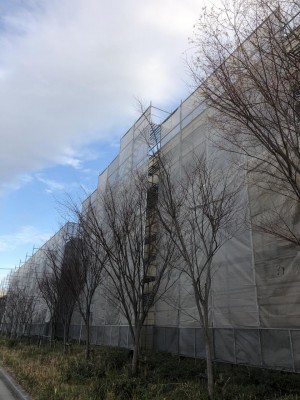 image1.jpeg